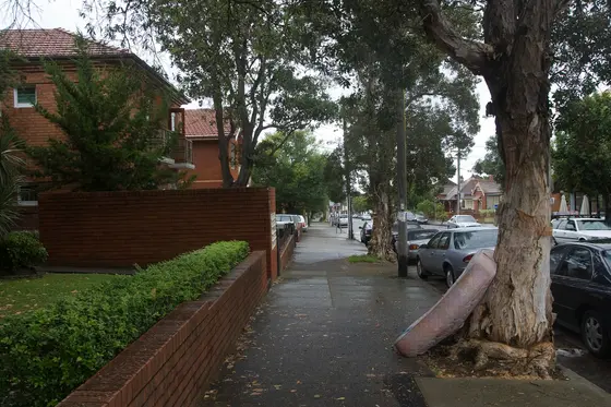 Near Graeme Green, Dulwich Hill