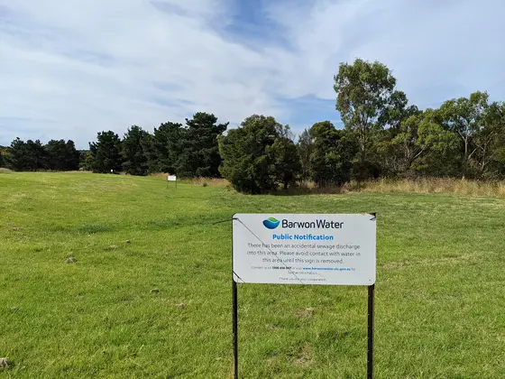 Near Cedmar Reserve, Highton