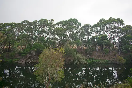 Near Allansford Recreation Reserve Playground, Allansford