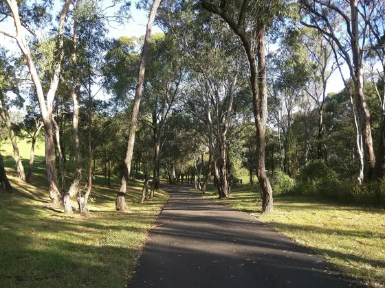 Near Lansdowne Reserve, Lansdowne