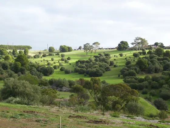 Near The Pines reserve playground, Flagstaff Hill
