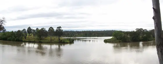 Near Richardson Park playground, Goodna