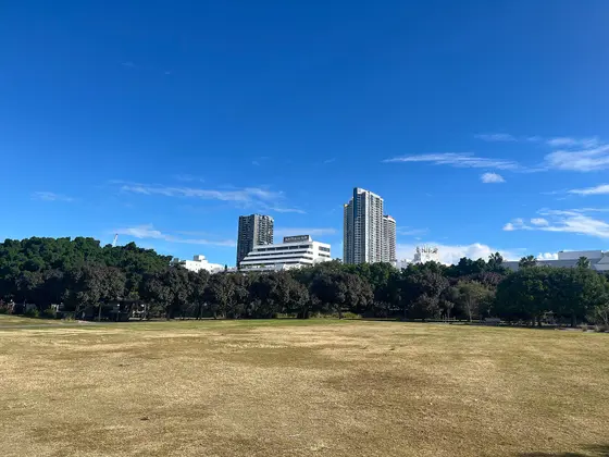 Near Broadwater Parklands playground, Southport