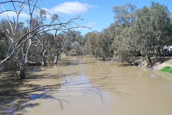 Near Luke Park playground, Jerilderie