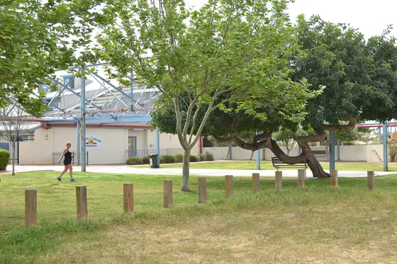 Near Florence Community Park playground, South Fremantle