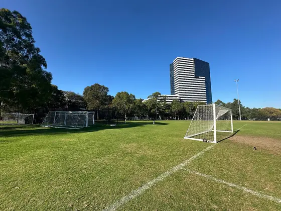 Near Children's climbing wall, Flemington