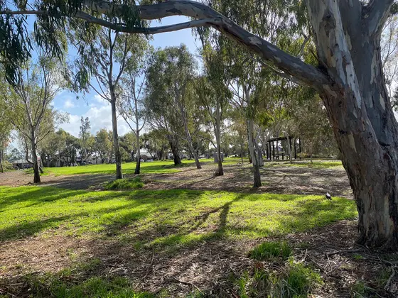 Near Somerset Grove Reserve playground, Craigmore