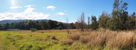 Near O'Brien Street Park playground, Bulli