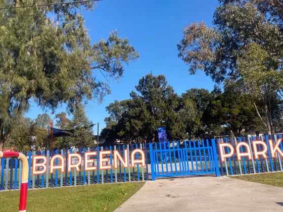 Near Bareena Park, Canley Vale