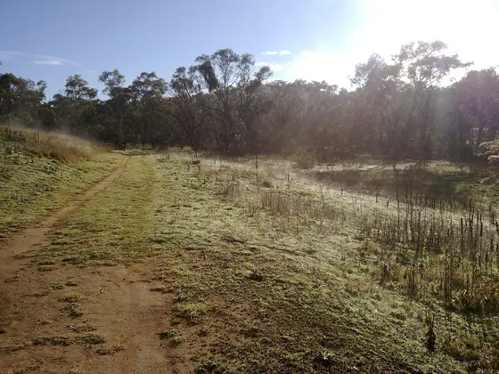 Near Elliott Place Neighbourhood Park, Campbell