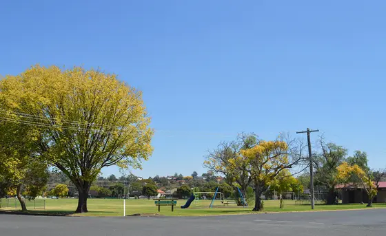 Near Mitchell Park playground, Cootamundra