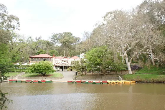 Near Studley Park Boathouse Playground, Kew