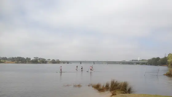 Near Warndoolier playground, Mount Lawley
