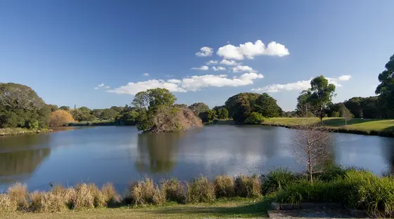Near The Ian Potter Children's Wild Play Garden, Queens Park