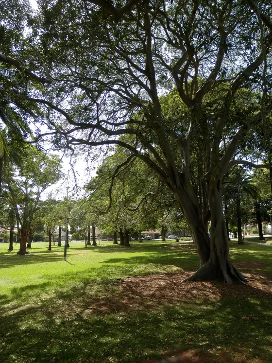 Near Ashfield Park, Ashfield