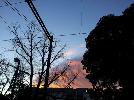 Near Sangster Reserve playground, Port Melbourne