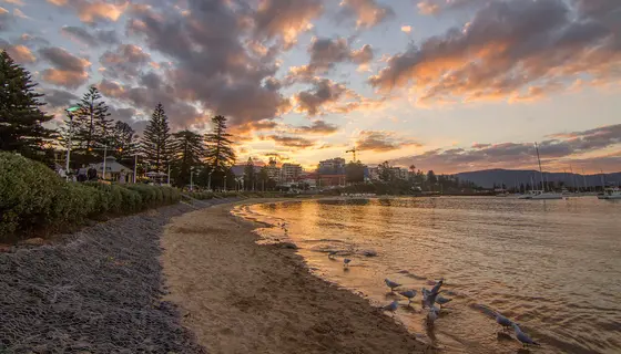 Near Belmore Lions Park playground, Wollongong