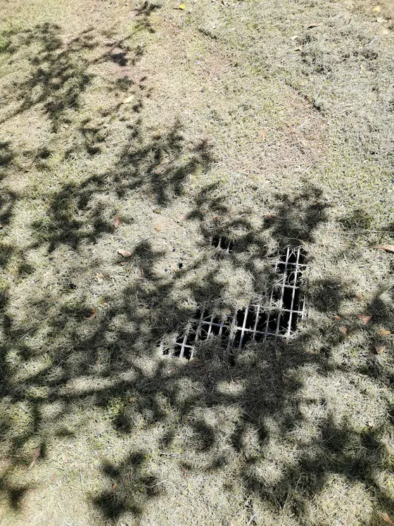 Near College Street Playground, Balmain