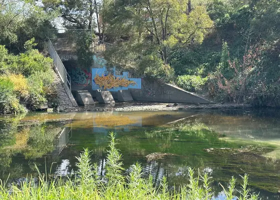 Near Merri Park playground, Northcote