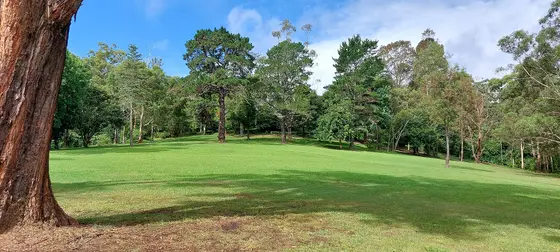 Near Castle Hill Heritage Park, Castle Hill