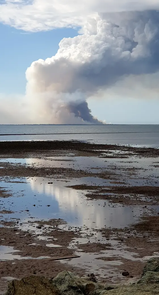Near Jamieson Park, Scarborough