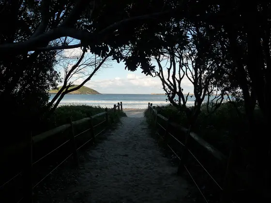 Near Jetty Foreshores Park playground, Coffs Harbour