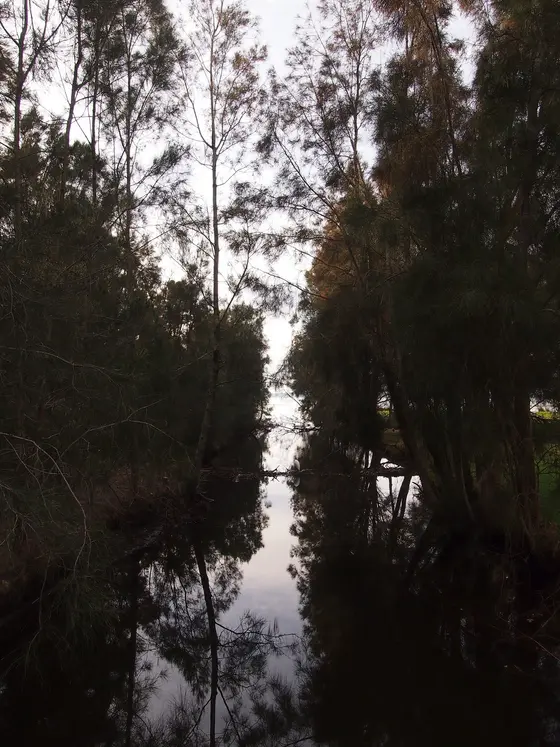 Near Bluebell Park playground, Berkeley Vale