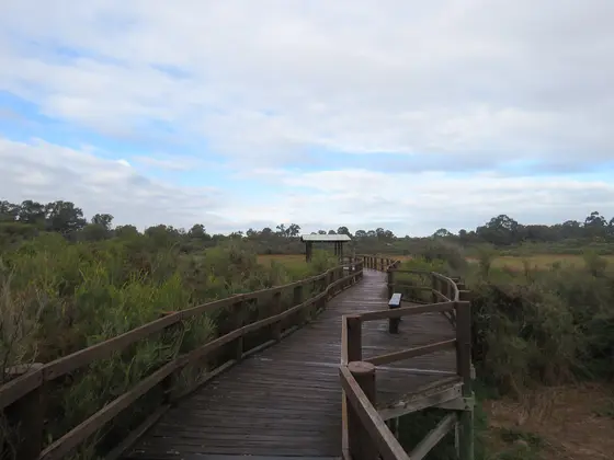 Near Booragoon Lake Reserve playground, Brentwood