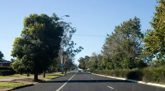 Near Arboretum Park, Dubbo