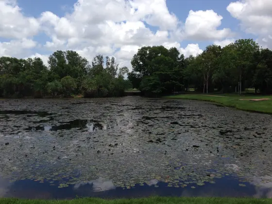 Near Sanctuary Lakes playground, Gunn