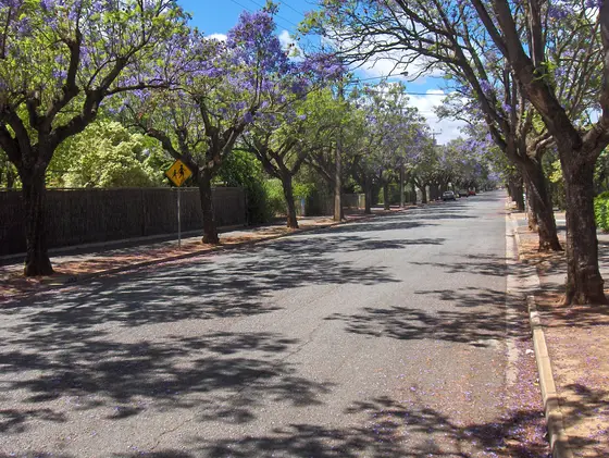 Near Dora Gild Playground, Clarence Park