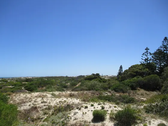 Near Golden Bay Foreshore playground, Golden Bay