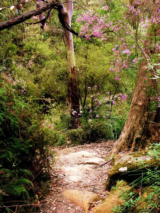 Near Ron Payne Park, North Epping