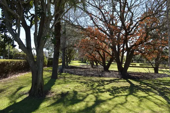 Near Laurel Bank Park playground, Toowoomba City