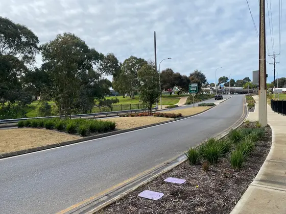 Near Edinburgh Reserve playground, Modbury