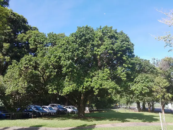 Near Le Grande Park playground, Freshwater
