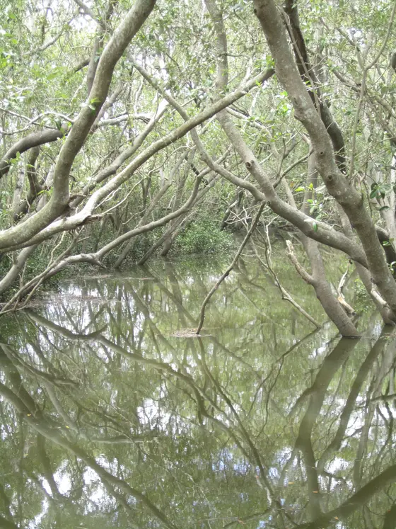 Near Rothwell Park, Rothwell