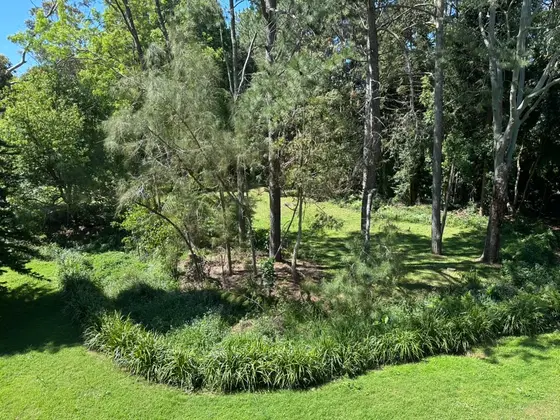 Near Rosser Park playground, Tamborine Mountain