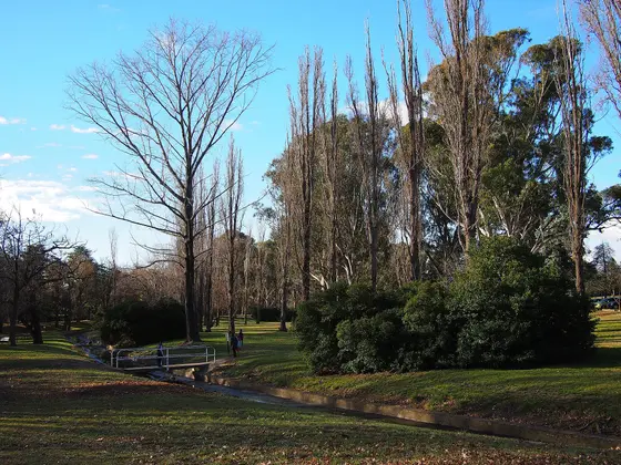 Near Telopea Park, Barton