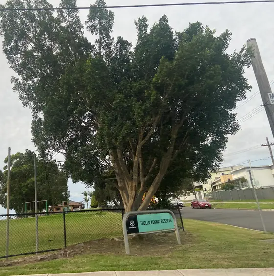 Near Thella Kenway Reserve, Bankstown