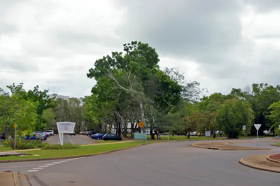 Near Alawa Oval playground, Brinkin