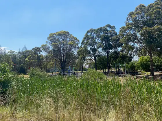 Near Havard Park playground, Prestons