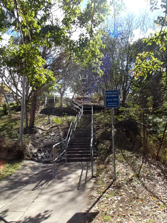 Near Pattison Park playground, Norman Park