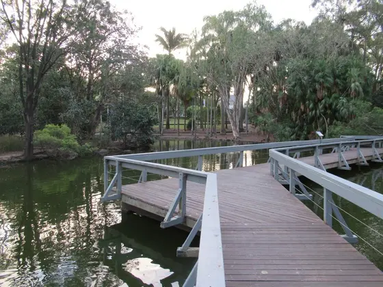 Near Bundaberg Botanical Gardens playground, Bundaberg North