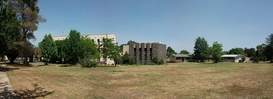Near Caldwell Street Neighbourhood Park, Hackett