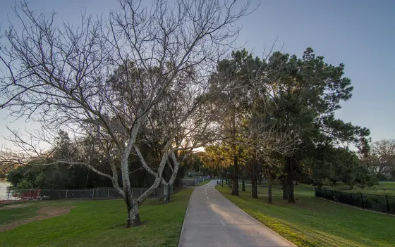 Near Mackey Park playground, Marrickville