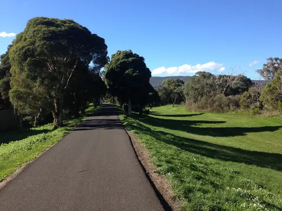 Near H.V. Jones Park playground, Ferntree Gully