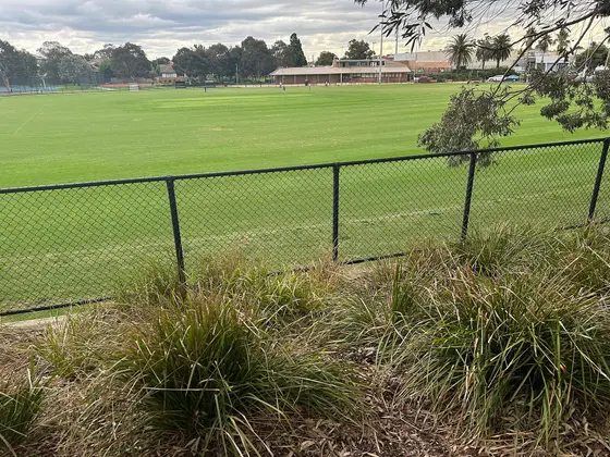 Near Leckie Street Reserve playground, Bentleigh