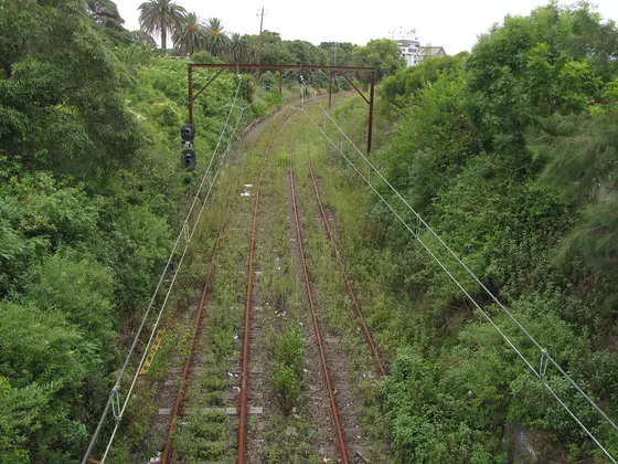 Near Laxton Reserve, Dulwich Hill