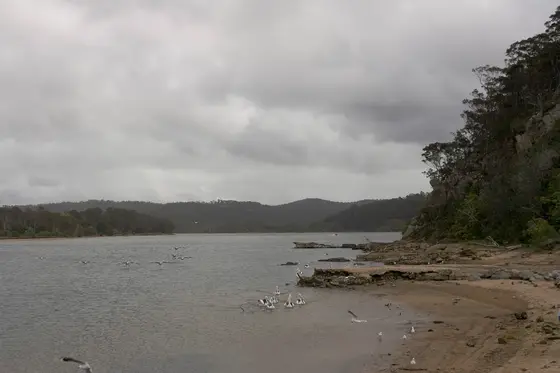 Near Ray Whyman Playground, Tathra